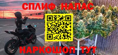 ГАЛЛЮЦИНОГЕННЫЕ ГРИБЫ Кингисепп