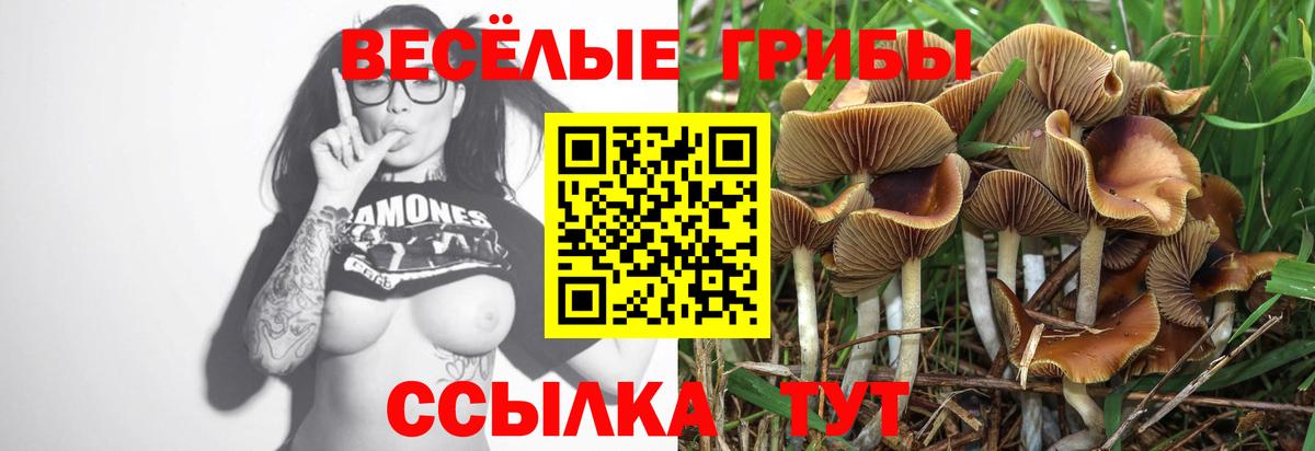 Галлюциногенные грибы Psilocybe  Вход с VPN  Аксай  Псилоцибиновые грибы ЛСД 