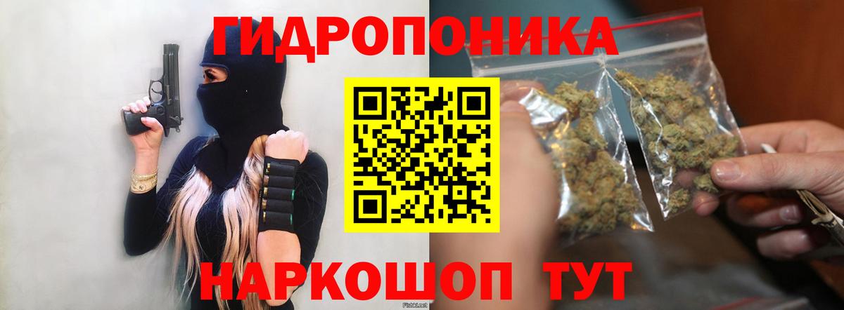 Каннабис гибрид  Вход с VPN  Аксай  Марихуана White Widow  МАРИХУАНА сатива 